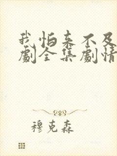 我怕来不及电视剧全集剧情介绍