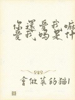 你还爱我嘛你还爱我吗是什么歌