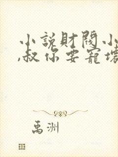 小说财阀小娇妻,叔你要宠坏我了笔趣阁阅读