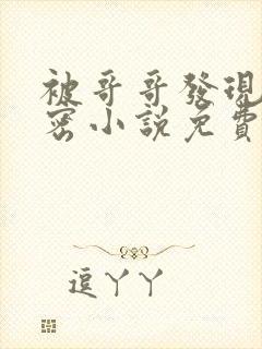 被哥哥发现的秘密小说免费阅读全文