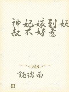 神妃嫁到妖孽皇叔不好惹