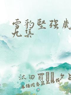 雪豹坚强岁月十九集