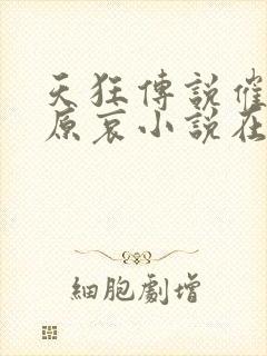 天狂传说催眠灰原哀小说在线阅读