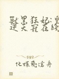 兽黑狂妃:皇叔逆天宠在线收听