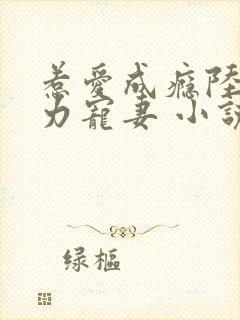 惹爱成瘾陆少实力宠妻 小说