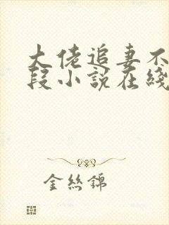 大佬追妻不择手段小说在线