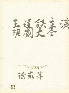 王道铁主演的电视剧大全