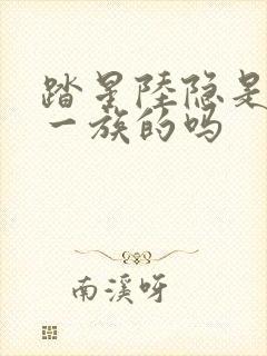 踏星陆隐是紫山一族的吗