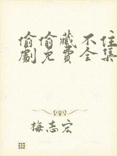 偷偷藏不住电视剧免费全集完整版