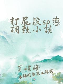 打屁股sp惩罚调教小说