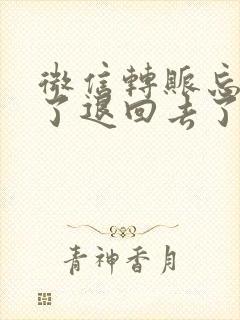 微信转账忘记收了退回去了怎么办