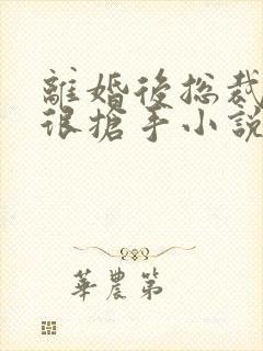 离婚后总裁前妻很抢手小说