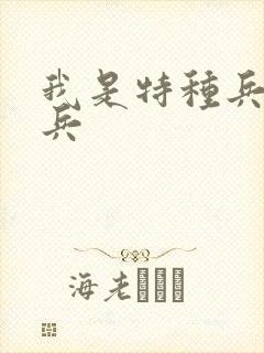 我是特种兵之狼兵