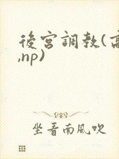 后宫调教(高h,np)