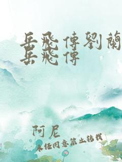 岳飞传刘兰芳的岳飞传