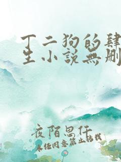 丁二狗的肆意人生小说无删减