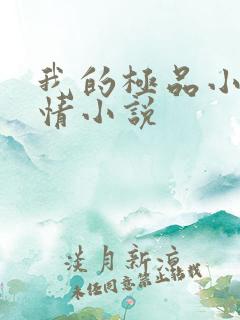 我的极品小姨言情小说