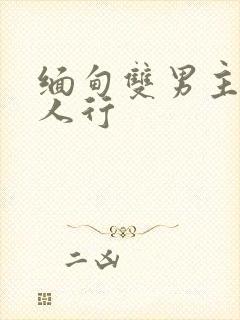 缅甸双男主剧三人行