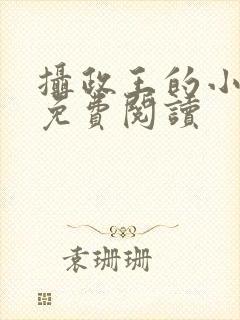 摄政王的小娇妃免费阅读