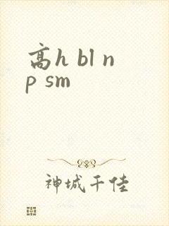 高h bl np sm