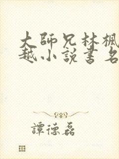 大师兄林枫的穿越小说书名