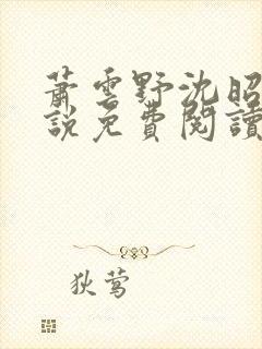 萧云野沈昭宁小说免费阅读最新章节