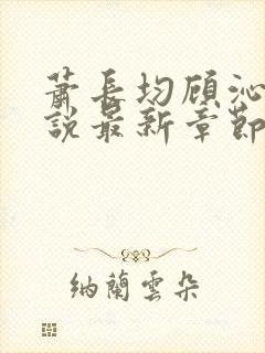 萧长均顾沁儿小说最新章节免费阅读