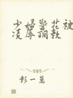 少妇警花被慧姐凌辱调教