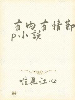 有肉有情节的np小说