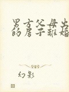 男方父母出资买的房子离婚怎么分