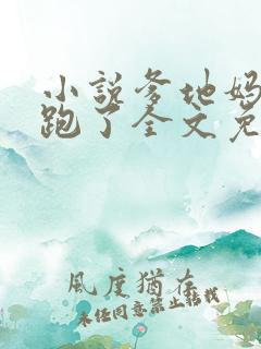 小说爹地妈咪又跑了全文免费阅读