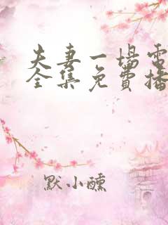 夫妻一场电视剧全集免费播放