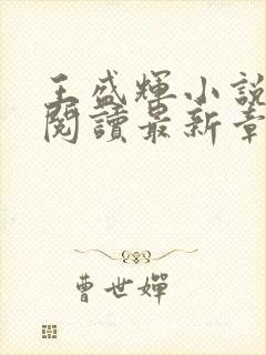 王盛辉小说免费阅读最新章节更新