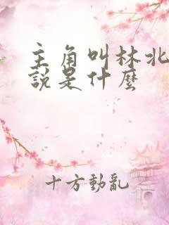 主角叫林北的小说是什么