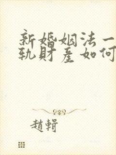 新婚姻法一方出轨财产如何分割