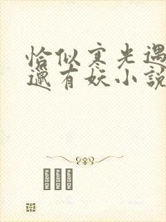 恰似寒光遇骄阳邋有妖小说完结版