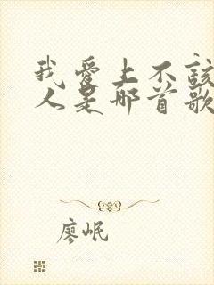 我爱上不该爱的人是哪首歌的歌词