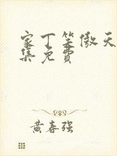 家丁笑傲天下全集免费