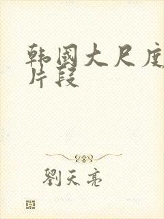 韩国大尺度床戏片段