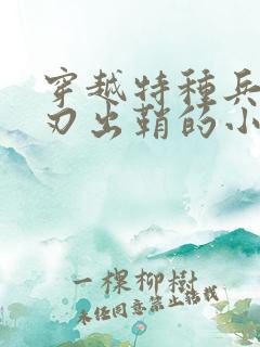 穿越特种兵之利刃出鞘的小说