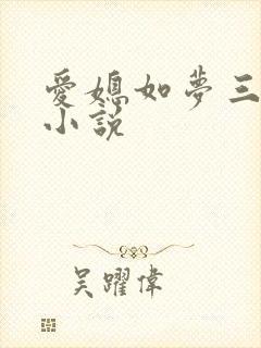 爱媳如梦三部曲小说