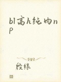 bl高h纯肉np