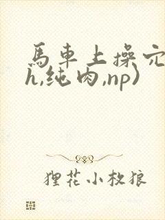 马车上操穴(高h,纯肉,np)