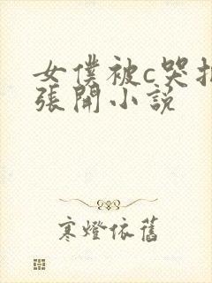 女仆被c哭把腿张开小说