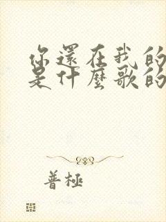 你还在我的心上是什么歌的歌词