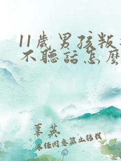 11岁男孩叛逆不听话怎么办