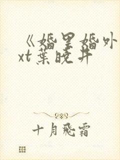 《婚里婚外》txt叶晓井