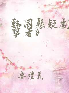 韩国悬疑剧《目击者》