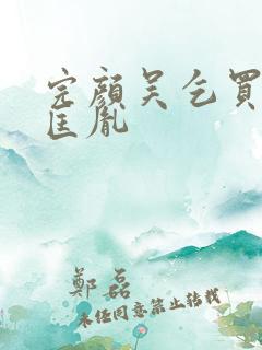 完颜吴乞买和赵匡胤