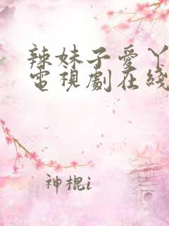 辣妹子爱丫爱丫电视剧在线观看外国